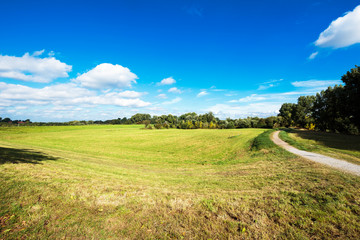 Nature Reserve at Langst nearby the River Rhine