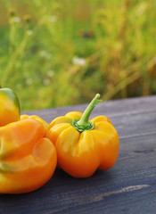 Sweet yellow pepper on a wooden surface. Yellow Paprika. Autumn harvest of vegetables