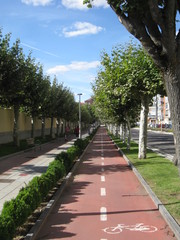 Obraz premium Carril bici. 