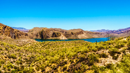Obraz premium Desert Landscape with Canyon Lake in the distant in Tonto National Forest along the Apache Trail in Arizona, USA