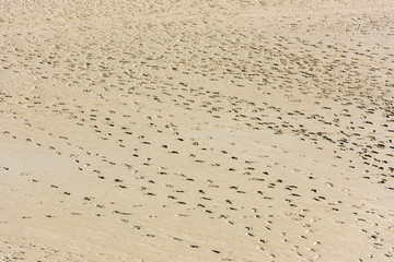 Human footprints on the sand of the sea bottom