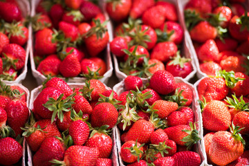 Natural strawberries in boxes at a farmers market