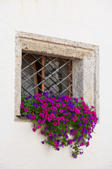 Fototapeta na wymiar Window with colorful flowers on a white wall