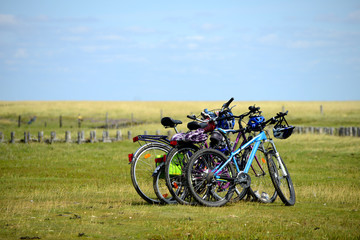 Fototapeta na wymiar Fahrräder an der Nordsee