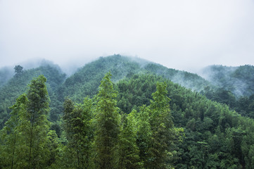 Fototapeta na wymiar Mountains scenery in the rain and mist