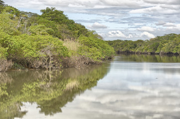 Obraz premium Tempisque River, Costa Rica