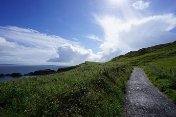 Landschaft um Carrick-a-Rede - Rope Bridge / Nordirland