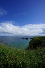 Landschaft um Carrick-a-Rede - Rope Bridge / Nordirland