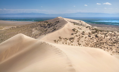 Sand dunes in the desert