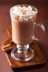 hot chocolate with mini marshmallows cinnamon winter drink