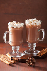 hot chocolate with mini marshmallows cinnamon winter drink