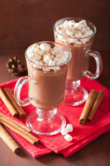 hot chocolate with mini marshmallows cinnamon winter drink