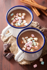 hot chocolate with mini marshmallows cinnamon winter drink