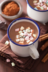 hot chocolate with mini marshmallows cinnamon winter drink