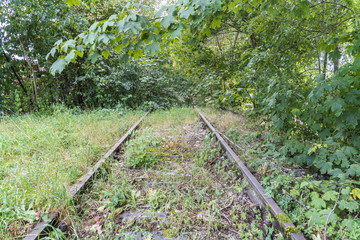 Totes Gleis überwuchert von der Natur