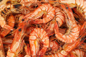Grilled shrimp background, many fresh bbq shrimps together