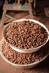 Seeds of shea tree Mubanayili Gana 