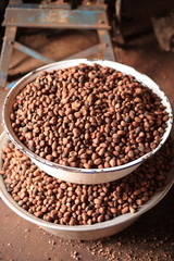 Seeds of shea tree Mubanayili Gana 