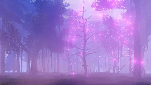 Mysterious forest with thick fog and supernatural fairy firefly lights at scary misty night. Realistic 3D animation rendered in 4K, ultra high definition.