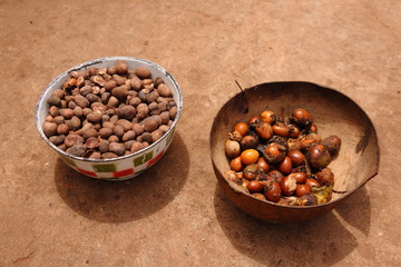 Seeds of shea tree Mubanayili Gana 