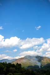 Fototapeta premium The smoke in the forest with sky background