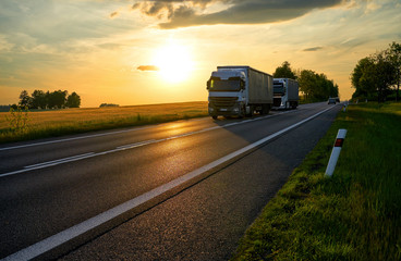 Two white trucks driving on an asphalt road past a cornfield at sunset.