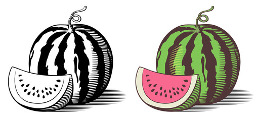 Stylized illustration of watermelon. Vector, isolated on white. Outline and colored version