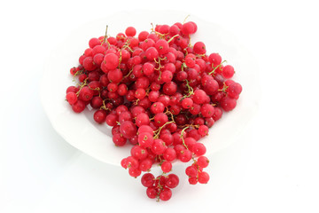 coupelle de groseilles