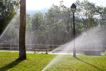 sprinkler watering the grass in summer in a sunny day