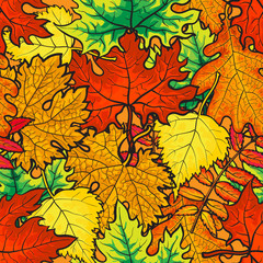 Bright and colorful autumn leaves seamless pattern, cartoon style vector illustration isolated on white background. Autumn leaves seamless pattern for textile, prints, backgrounds, wrap and cards