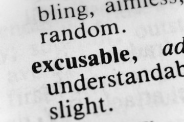 Obraz premium Excusable