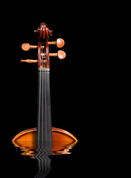 violin rising from water, isolated on black in "music was originated from nature" concept