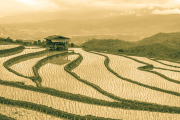  rice terraces In the rural mountain