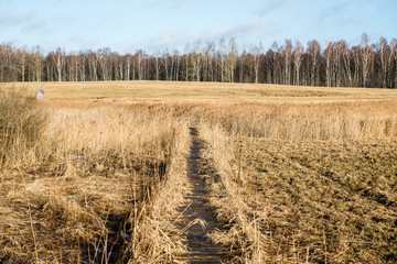 sunny tourist trail in the woods in autumn