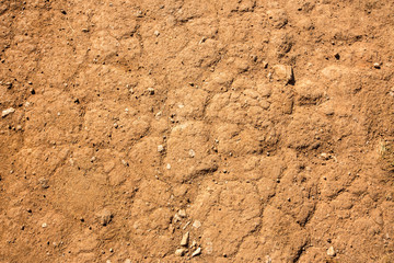 Dry agricultural brown soil natural texture background