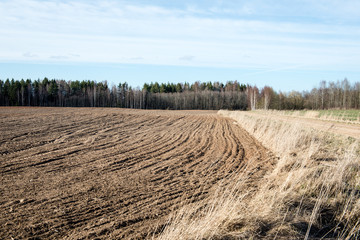 Country Road