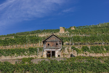 Fototapeta na wymiar Landschaft im Schwarzwald