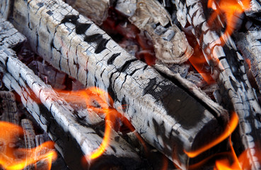 Detail of burning wood