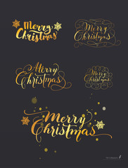 Fototapeta na wymiar Set of Hand-Drawn Lettering based on a Nib and Brush Calligraphy. Snowflakes on the background. Merry Christmas. Vector.