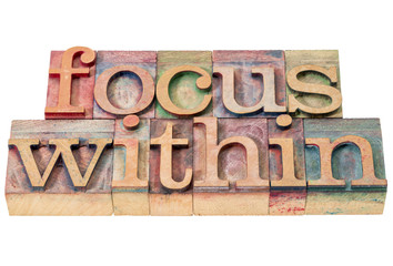 focus within in wood type