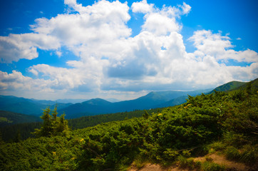 Summer landscape in mountains and the dark blue sky with clouds