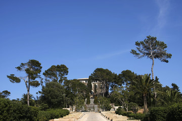 spanische Mittelmeerküste, Pinien, 