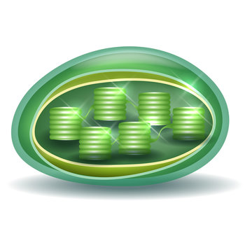 Chloroplast structure, a part of the plant cell.