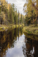 Fototapeta na wymiar On September Mekhrenga River in the Arkhangelsk region of Russia 