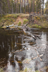 On September Mekhrenga River in the Arkhangelsk region of Russia 