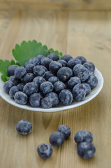 Blueberries in a bowl