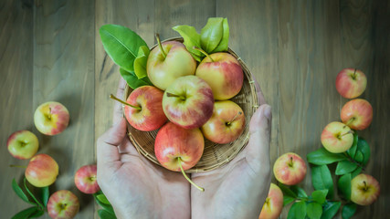 human hand holding  apple