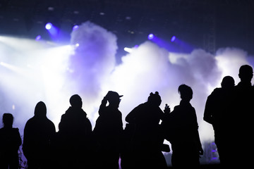 Cheering crowd in front of stage lights