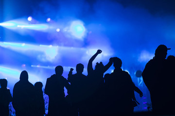 Cheering crowd in front of stage lights