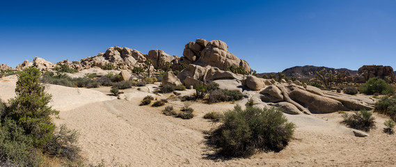 Panoramic view of landscape and horizon in the Mohave Desert, Joshua Tree National Park, California